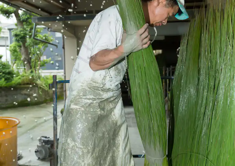 い草の刈り取り