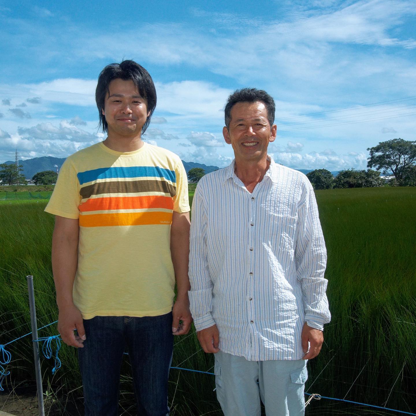 畳と、い草　熊本県八代地域